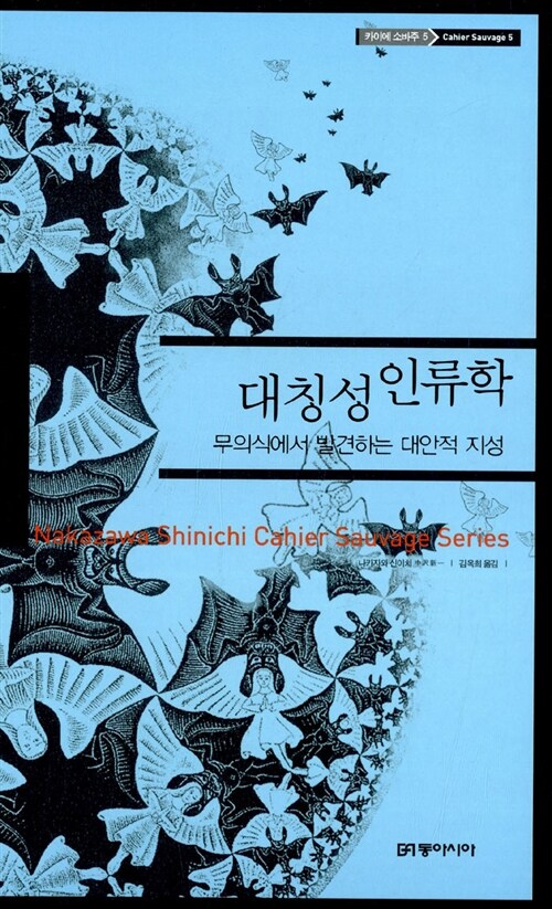 대칭성 인류학