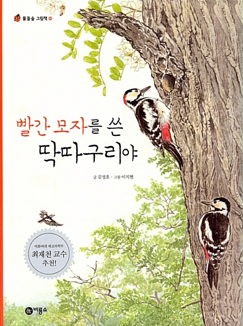 빨간 모자를 쓴 딱따구리야