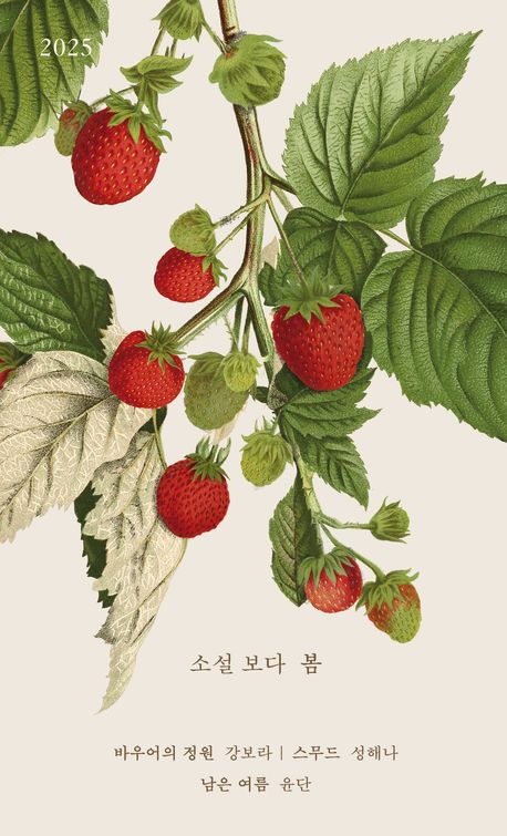 소설 보다 : 봄 2025