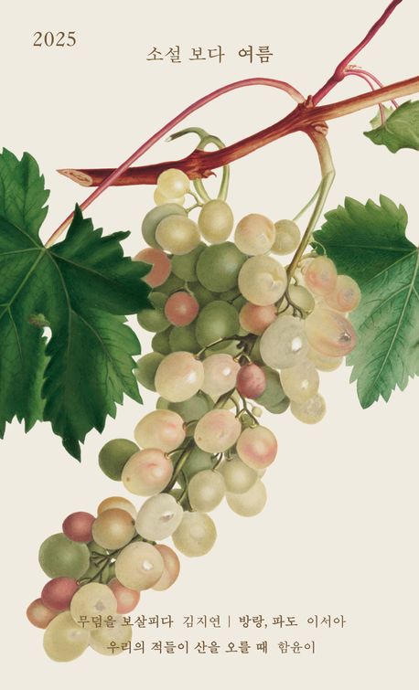 소설 보다: 여름 2025