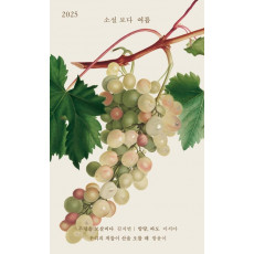 소설 보다: 여름 2025